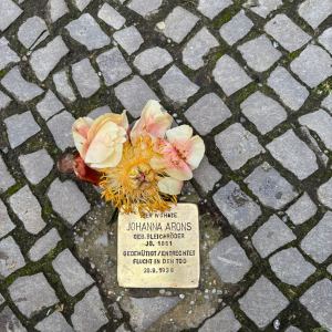 Säubern der Stolpersteine